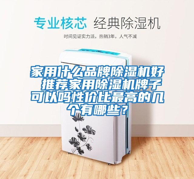 家用什么品牌除濕機好 推薦家用除濕機牌子可以嗎性價比最高的幾個有哪些？