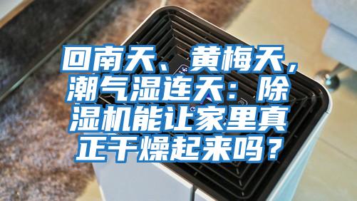 回南天、黃梅天，潮氣濕連天：除濕機能讓家里真正干燥起來嗎？