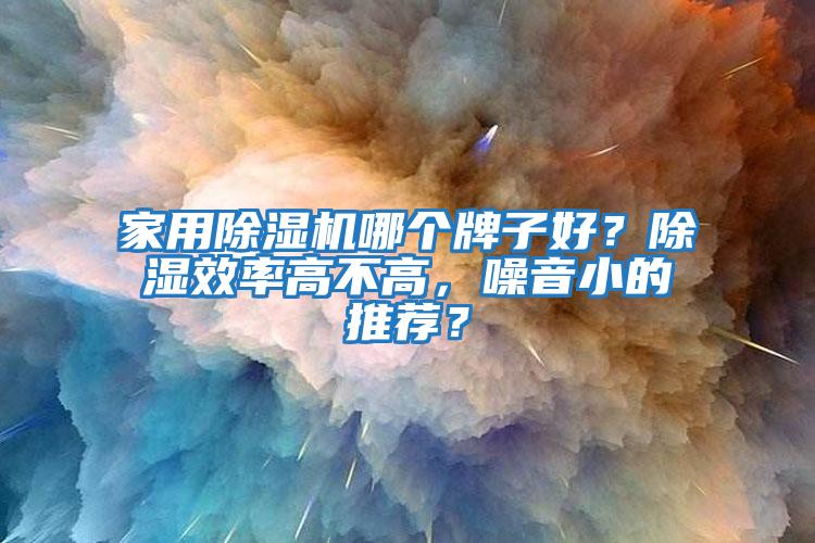 家用除濕機哪個牌子好？除濕效率高不高，噪音小的推薦？