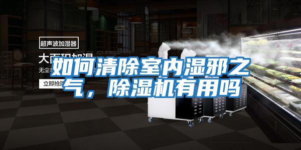 如何清除室內濕邪之氣，除濕機有用嗎