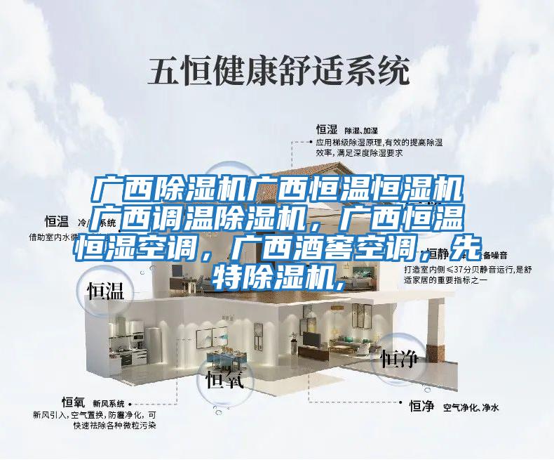 廣西除濕機廣西恒溫恒濕機廣西調溫除濕機，廣西恒溫恒濕空調，廣西酒窖空調，先特除濕機,