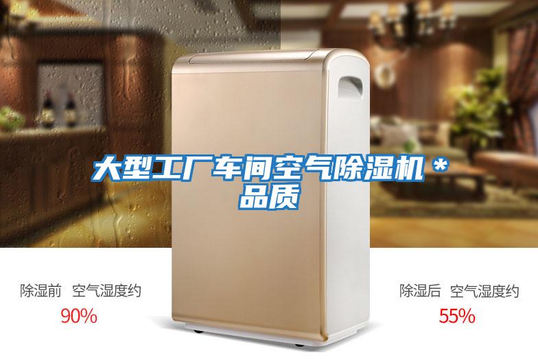 大型工廠車間空氣除濕機*品質