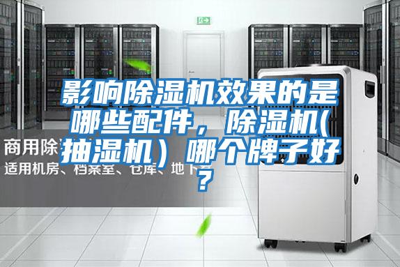 影響除濕機效果的是哪些配件，除濕機(抽濕機）哪個牌子好？