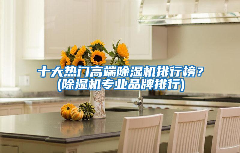 十大熱門高端除濕機排行榜？(除濕機專業品牌排行)