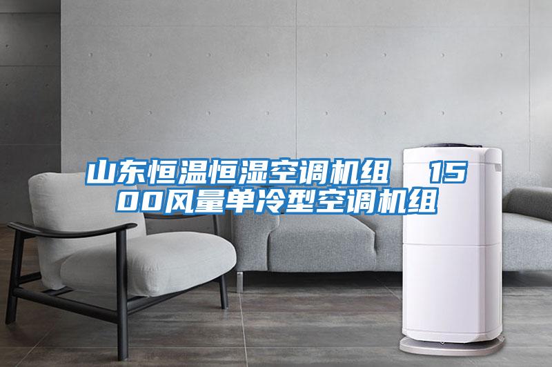山東恒溫恒濕空調機組 1500風量單冷型空調機組