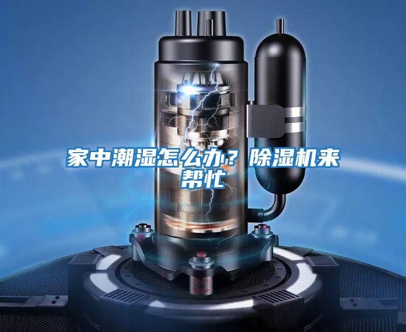 家中潮濕怎么辦？除濕機來幫忙