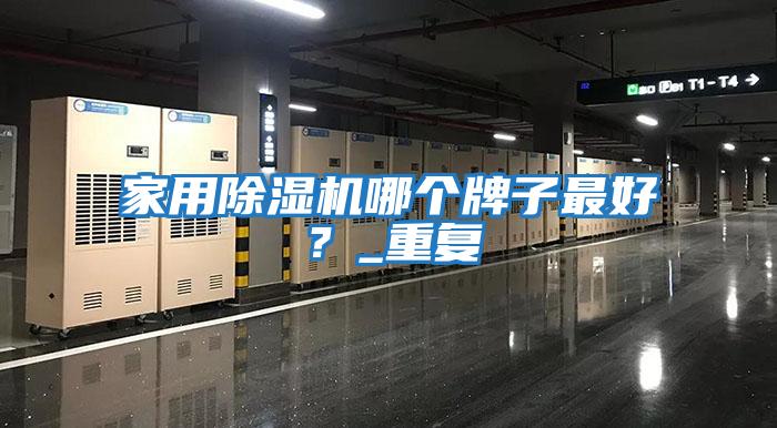 家用除濕機哪個牌子最好？_重復