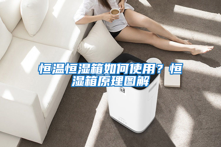 恒溫恒濕箱如何使用?恒濕箱原理圖解