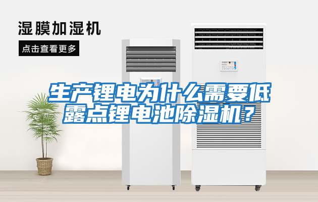 生產(chǎn)鋰電為什么需要低露點鋰電池除濕機？