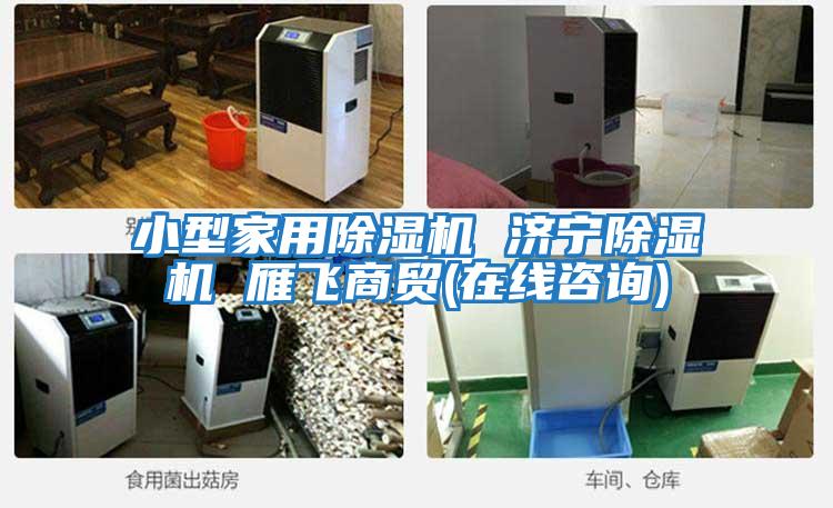 小型家用除濕機 濟寧除濕機 雁飛商貿(mào)(在線咨詢)