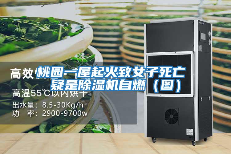 桃園一屋起火致女子死亡 疑是除濕機(jī)自燃(圖)