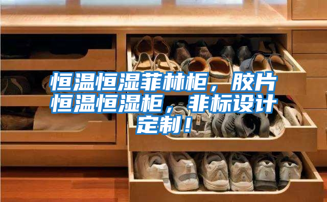 恒溫恒濕菲林柜,膠片恒溫恒濕柜,非標(biāo)設(shè)計定制!