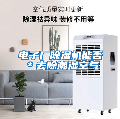 電子廠除濕機(jī)能否*去除潮濕空氣