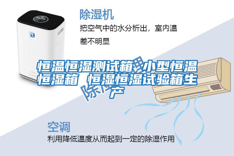 恒溫恒濕測試箱 小型恒溫恒濕箱 恒濕恒濕試驗箱生產