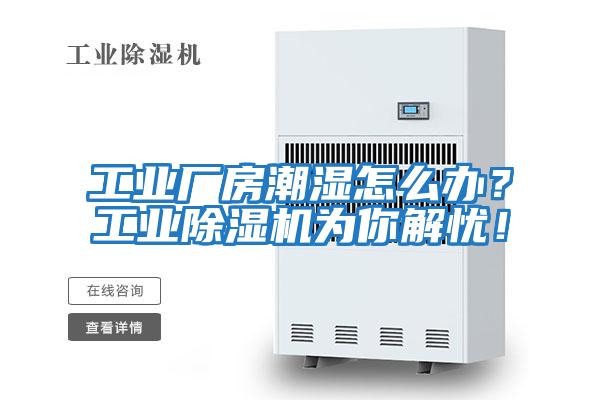 工業廠房潮濕怎么辦?工業除濕機為你解憂!