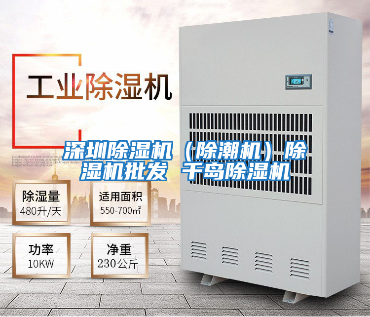 深圳除濕機(jī)(除潮機(jī))除濕機(jī)批發(fā) 千島除濕機(jī)