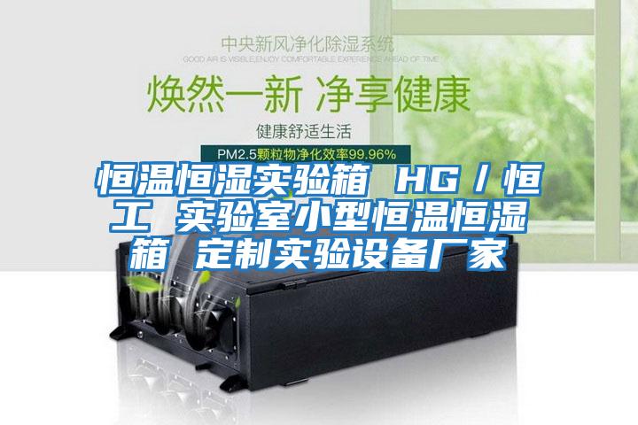 恒溫恒濕實驗箱 HG/恒工 實驗室小型恒溫恒濕箱 定制實驗設備廠家