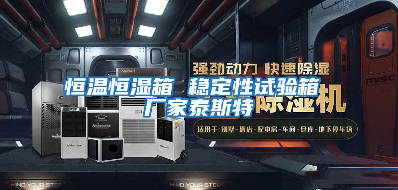 恒溫恒濕箱 穩(wěn)定性試驗箱 廠家泰斯特