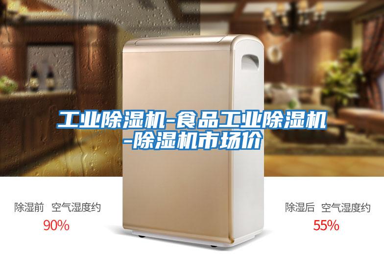 工業(yè)除濕機(jī)-食品工業(yè)除濕機(jī)-除濕機(jī)市場價(jià)