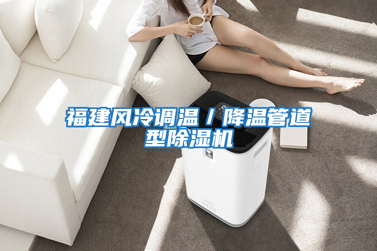 福建風(fēng)冷調(diào)溫/降溫管道型除濕機