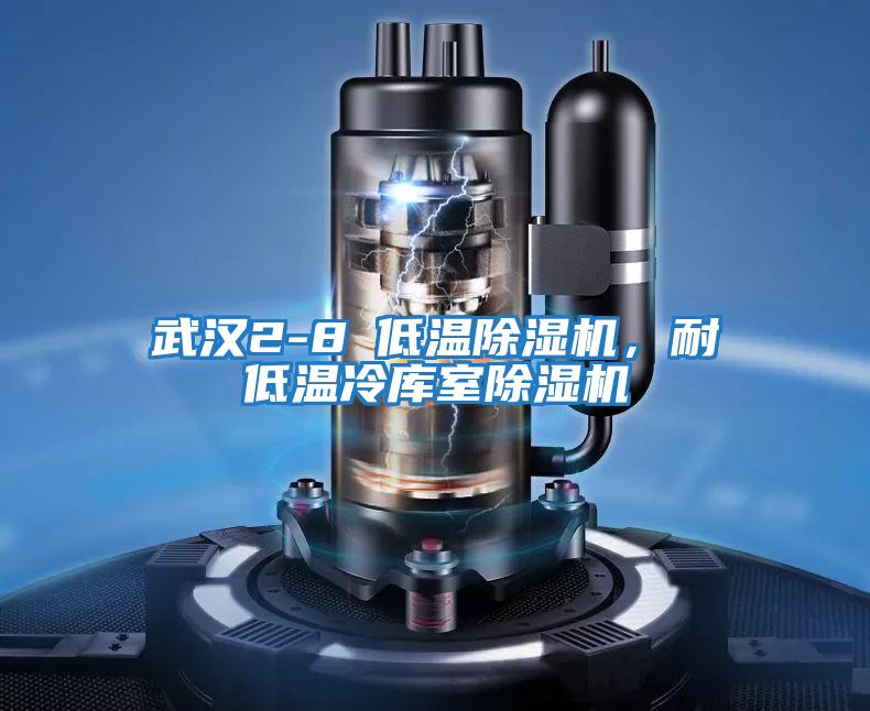 武漢2-8℃低溫除濕機，耐低溫冷庫室除濕機