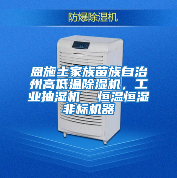 恩施土家族苗族自治州高低溫除濕機，工業抽濕機  恒溫恒濕非標機器