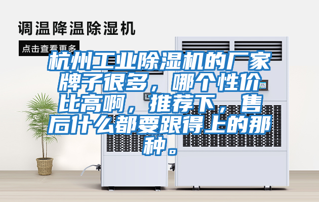 杭州工業除濕機的廠家牌子很多,哪個性價比高啊,推薦下,售后什么都要跟得上的那種。
