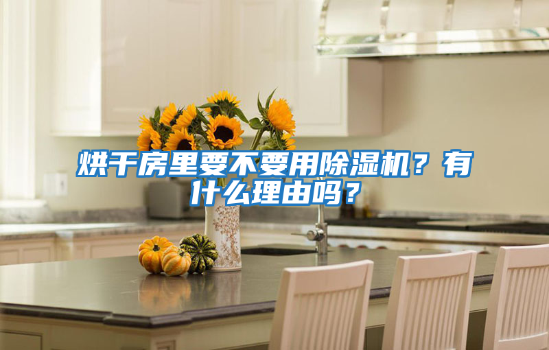烘干房里要不要用除濕機(jī)？有什么理由嗎？