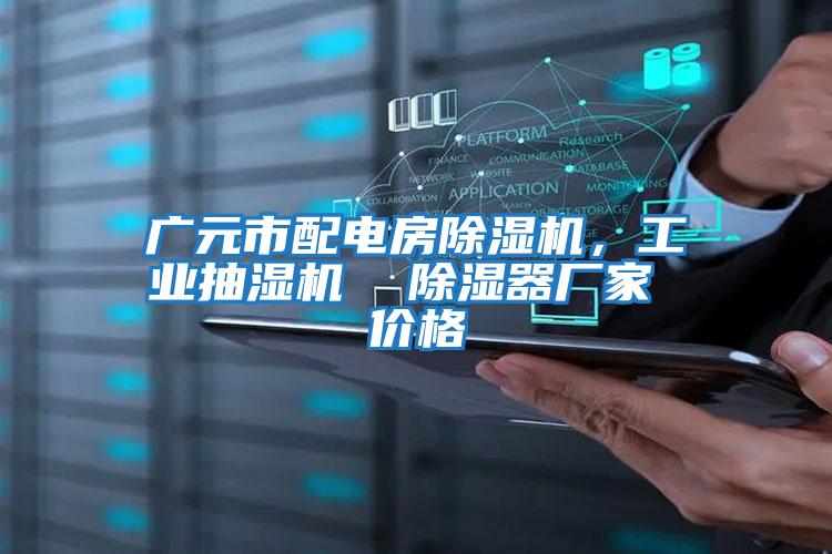 廣元市配電房除濕機，工業抽濕機  除濕器廠家 價格