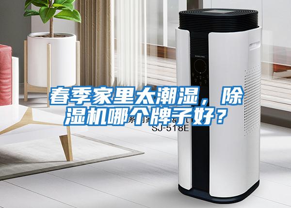春季家里太潮濕，除濕機哪個牌子好？