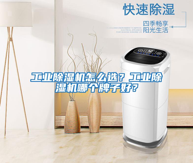 工業(yè)除濕機(jī)怎么選？工業(yè)除濕機(jī)哪個牌子好？