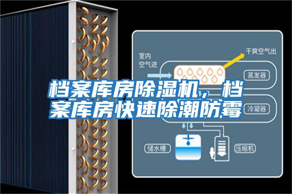 檔案庫房除濕機(jī)，檔案庫房快速除潮防霉