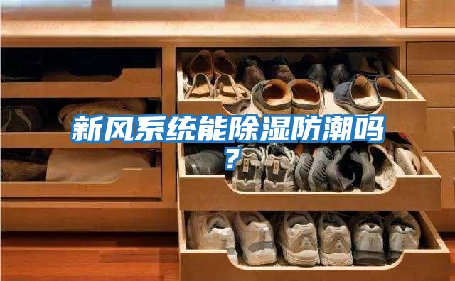 新風系統能除濕防潮嗎?