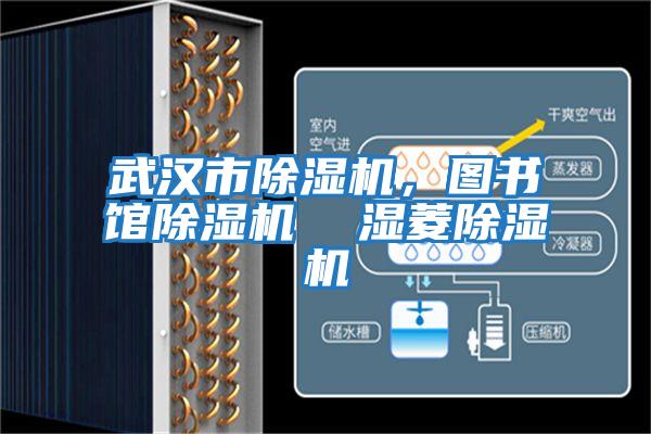 武漢市除濕機(jī),圖書館除濕機(jī) 濕菱除濕機(jī)