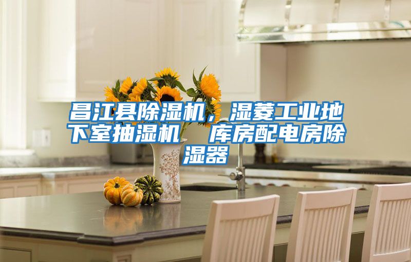 昌江縣除濕機,濕菱工業(yè)地下室抽濕機 庫房配電房除濕器