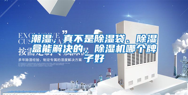 潮濕，真不是除濕袋、除濕盒能解決的，除濕機(jī)哪個(gè)牌子好
