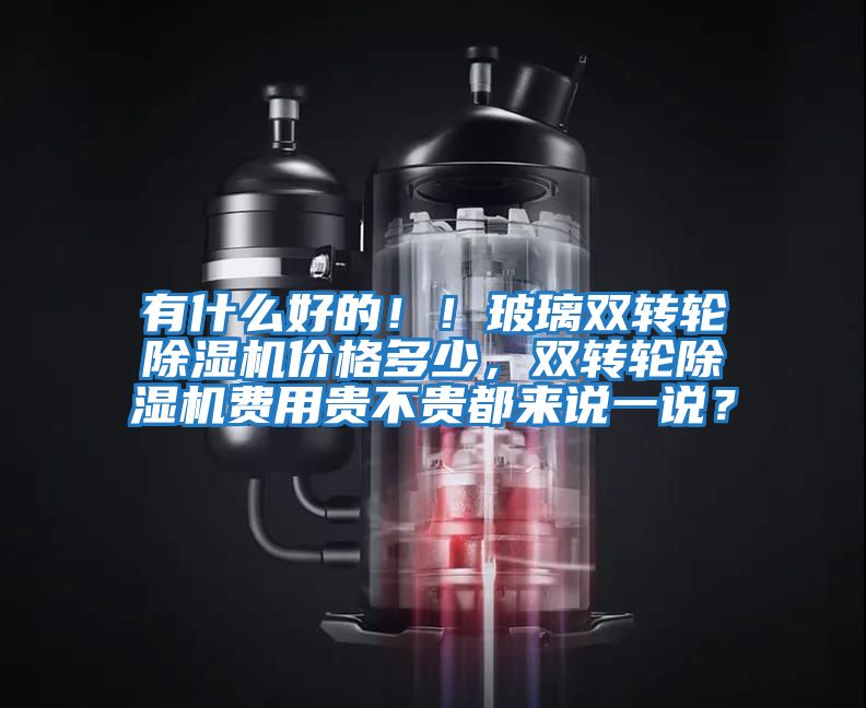 有什么好的?。〔Ａщp轉輪除濕機價格多少，雙轉輪除濕機費用貴不貴都來說一說？