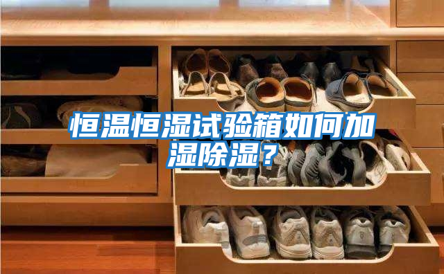 恒溫恒濕試驗(yàn)箱如何加濕除濕?