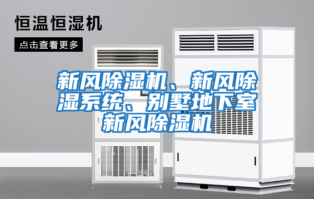 新風除濕機、新風除濕系統、別墅地下室新風除濕機