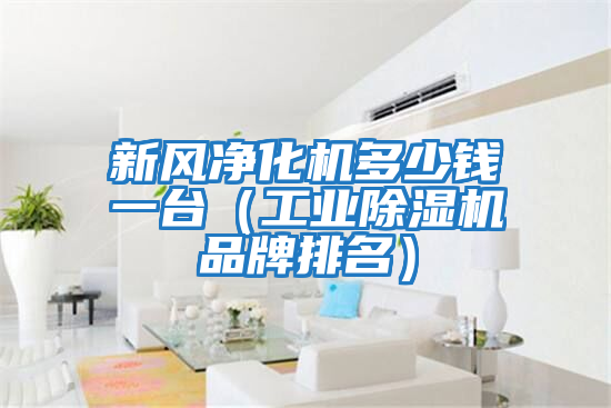 新風凈化機多少錢一臺(工業除濕機品牌排名)