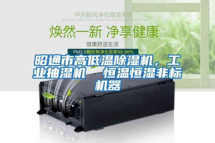 昭通市高低溫除濕機,工業(yè)抽濕機 恒溫恒濕非標(biāo)機器