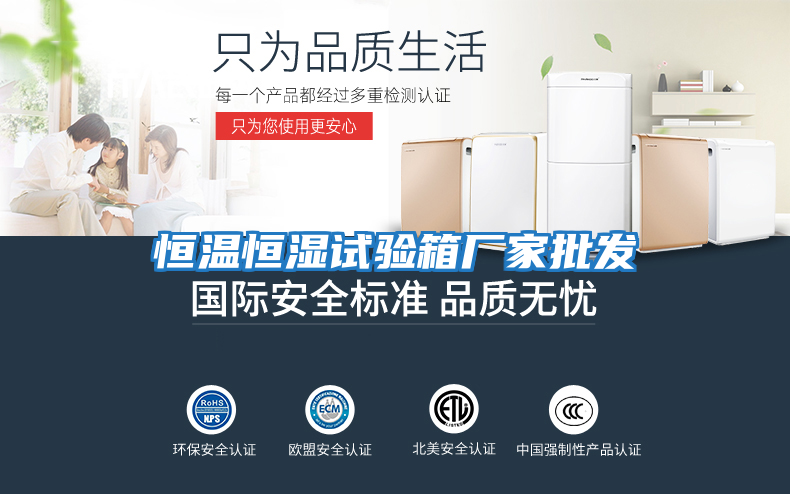 恒溫恒濕試驗箱廠家批發