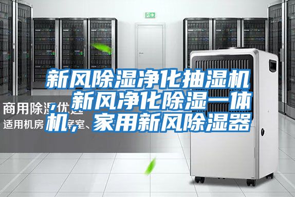 新風除濕凈化抽濕機，新風凈化除濕一體機，家用新風除濕器
