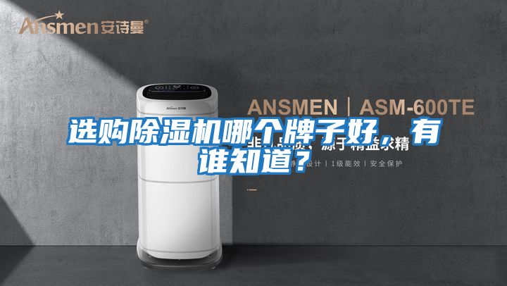 選購除濕機(jī)哪個(gè)牌子好，有誰知道？