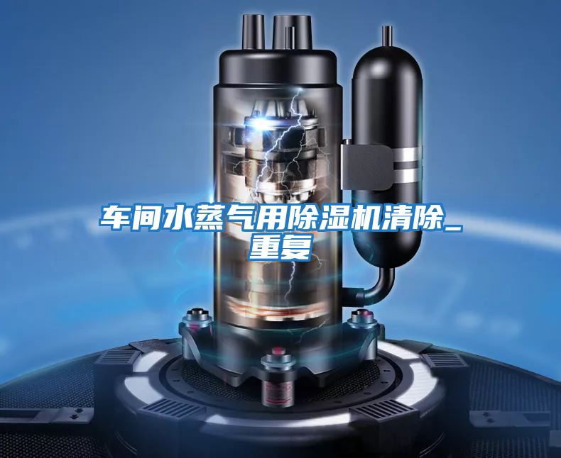 車間水蒸氣用除濕機清除_重復