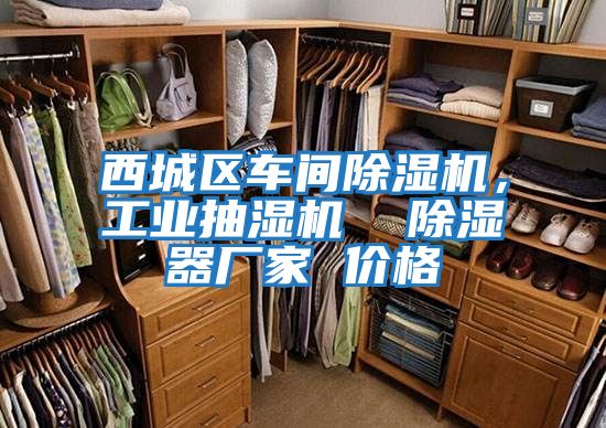西城區(qū)車間除濕機(jī),工業(yè)抽濕機(jī) 除濕器廠家 價(jià)格