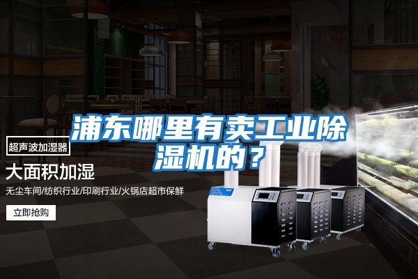 浦東哪里有賣工業除濕機的？