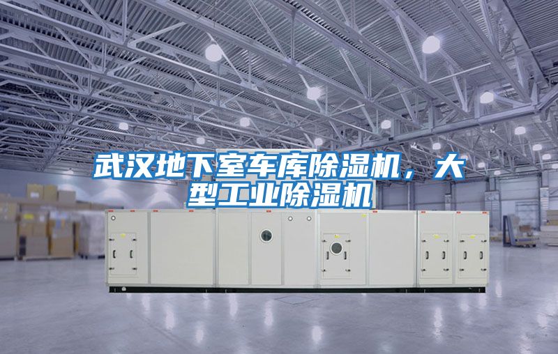武漢地下室車庫除濕機，大型工業除濕機