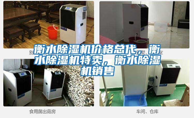 衡水除濕機價格總代，衡水除濕機特賣，衡水除濕機銷售