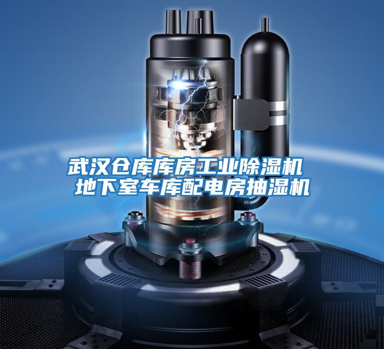 武漢倉(cāng)庫(kù)庫(kù)房工業(yè)除濕機(jī) 地下室車(chē)庫(kù)配電房抽濕機(jī)